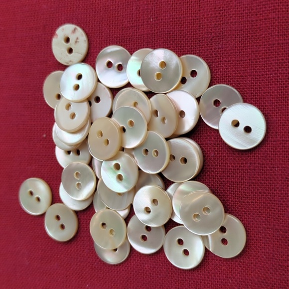 Trochus Shell Buttons 11 mm Diameter - Picture 2 of 8